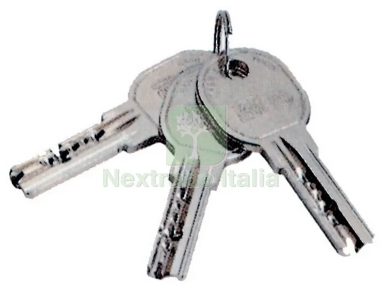 Iseo ART. 020839 NEW Chiavi Grezze R6 — Serrature e cilindri — rif. FERX.37453
