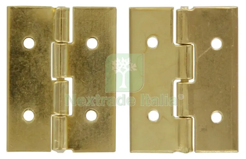 100PZ Cerniera Ottonata MM.25X15 (H x L) — Cerniere e cardini — rif. FERX.38041