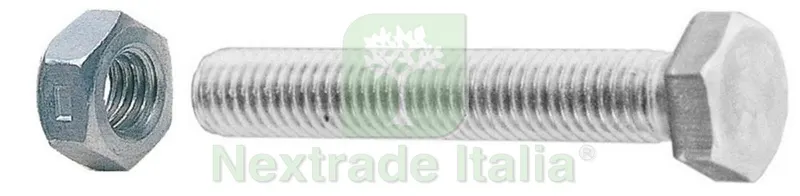 5SCATOLE SC VITI A METALLO TESTA ESAGONALE 8X 40 CON DADI (PZ.6) — Viti — rif. FERX.40151 5SCATOLE SC VITI A METALLO TESTA ESAGONALE 8X 40 CON DADI (PZ.6) — Viti — rif. FERX.40151