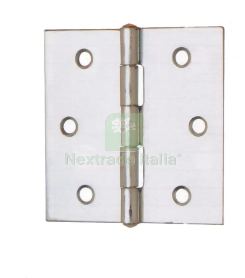 24PZ Cerniera Quadra Perno Fisso Acciaio Zincato MM.100 — Cerniere e cardini — rif. FERX.41910 24PZ Cerniera Quadra Perno Fisso Acciaio Zincato MM.100 — Cerniere e cardini — rif. FERX.41910