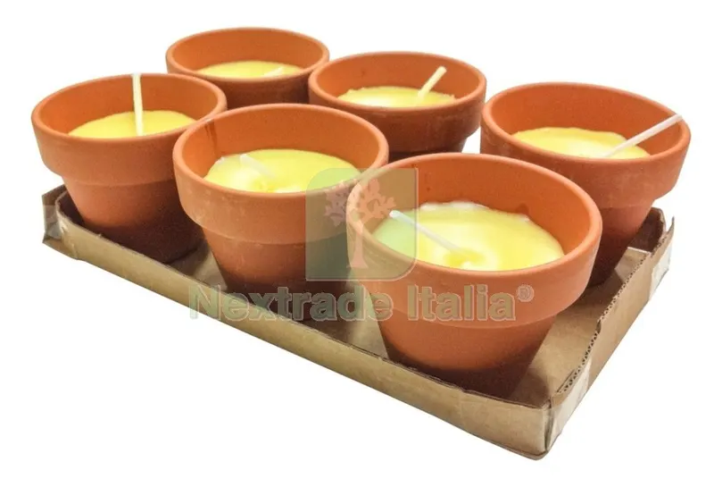 24CF Citronella in Coccio Pollicino 7XH6 CM 6 PZ — Attrezzi da giardino — rif. FERX.46410 24CF Citronella in Coccio Pollicino 7XH6 CM 6 PZ — Attrezzi da giardino — rif. FERX.46410