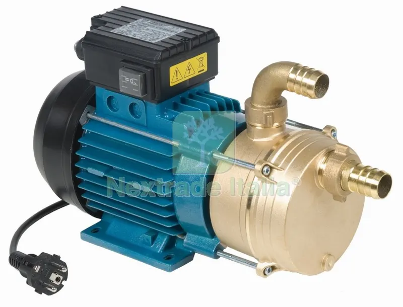 ELETTROPOMPA TRAVASO 0,6 HP TELLARINI PROFILO 25 MM — Pompe — rif. FERX.4723 ELETTROPOMPA TRAVASO 0,6 HP TELLARINI PROFILO 25 MM — Pompe — rif. FERX.4723