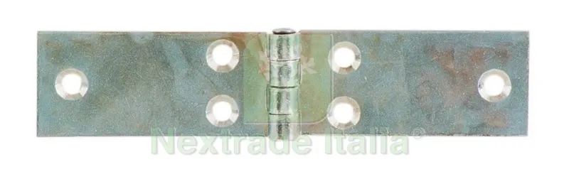 24PZ Cerniera Lunga Perno Fisso Acciaio Zincato MM. 60 — Cerniere e cardini — rif. FERX.48754