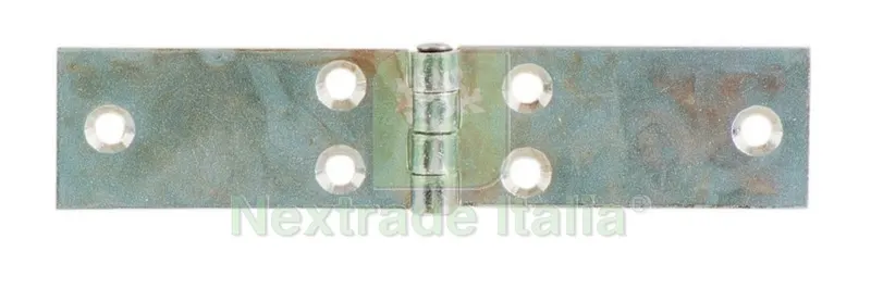 24PZ Cerniera Lunga Perno Fisso Acciaio Zincato MM.160 — Cerniere e cardini — rif. FERX.48759 24PZ Cerniera Lunga Perno Fisso Acciaio Zincato MM.160 — Cerniere e cardini — rif. FERX.48759