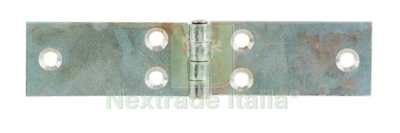 24PZ Cerniera Lunga Perno Fisso Acciaio Zincato MM.200 — Cerniere e cardini — rif. FERX.48761 24PZ Cerniera Lunga Perno Fisso Acciaio Zincato MM.200 — Cerniere e cardini — rif. FERX.48761