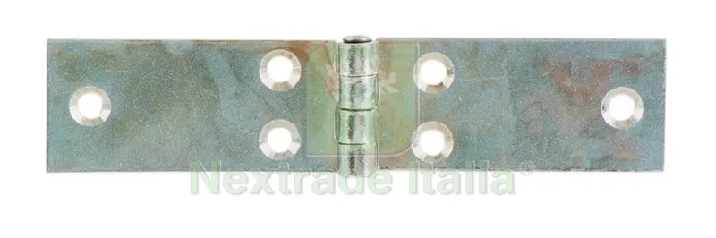 24PZ Cerniera Lunga Perno Fisso Acciaio Zincato MM. 50 — Cerniere e cardini — rif. FERX.48767