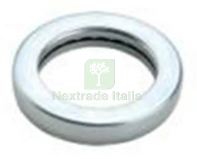 20PZ CUSCINETTI X CERNIERE MAXI MM.20 ZINCATI — Cerniere e cardini — rif. FERX.49007 20PZ CUSCINETTI X CERNIERE MAXI MM.20 ZINCATI — Cerniere e cardini — rif. FERX.49007