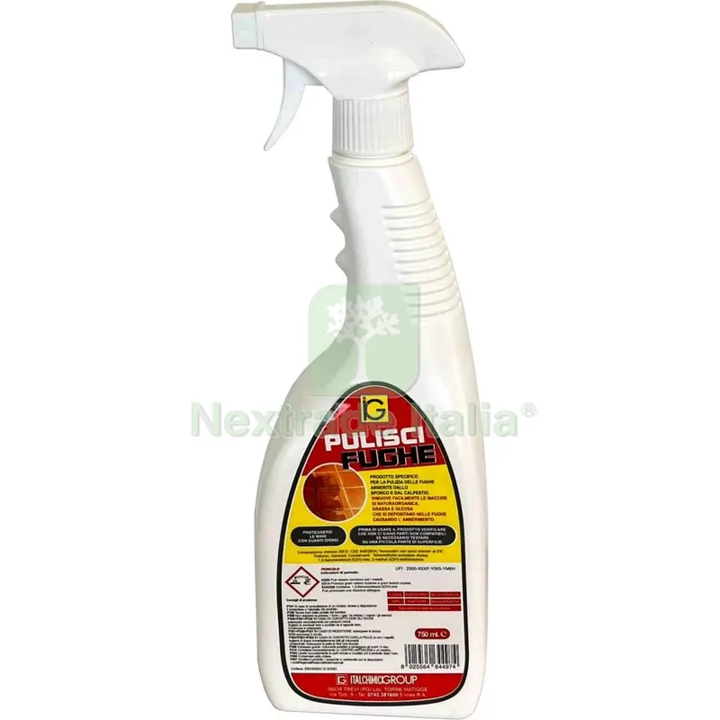 6PZ PULISCI FUGHE ML. 750 — Diluenti e solventi — rif. FERX.500409