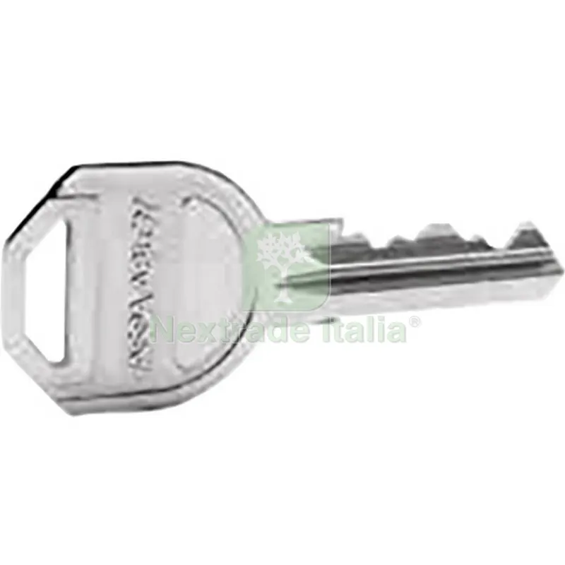 YALE CHIAVE GREZZA PER CILINDRO GEMMA — Serrature e cilindri — rif. FERX.500614