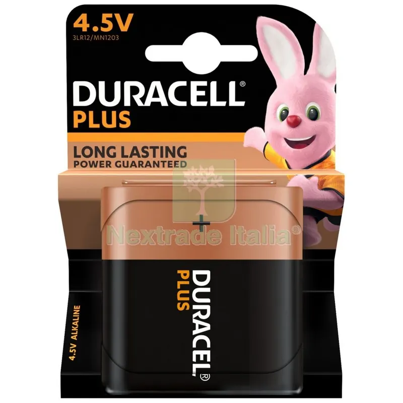 10BLISTER DURACELL PILA ALCALINA PIATTA 4,5V MN1203 — Pile e batterie — rif. FERX.50118 10BLISTER DURACELL PILA ALCALINA PIATTA 4,5V MN1203 — Pile e batterie — rif. FERX.50118