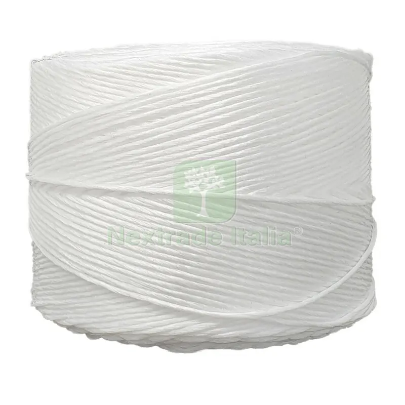6RT Spago in Polipropilene T500 Bobina da 2KG — Pile e batterie — rif. FERX.501180 6RT Spago in Polipropilene T500 Bobina da 2KG — Pile e batterie — rif. FERX.501180