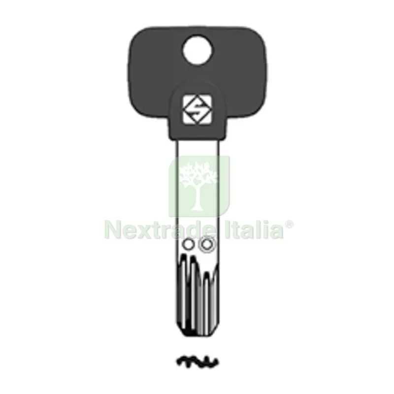 5PZ Chiavi Silca Punzonate MTK21RP SNI — Serrature e cilindri — rif. FERX.502074 5PZ Chiavi Silca Punzonate MTK21RP SNI — Serrature e cilindri — rif. FERX.502074