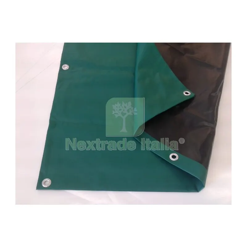 Telone PE Pesante con Occhioli 240 G Verde 6 x 8 M — Teli e teloni — rif. FERX.502341 Telone PE Pesante con Occhioli 240 G Verde 6 x 8 M — Teli e teloni — rif. FERX.502341