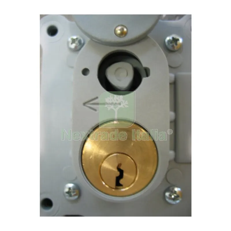 Serratura per Cassetta Contatore Enel 1 Posto GMI — Serrature e cilindri — rif. FERX.502477