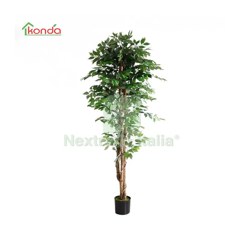 2PZ PIANTA FICUS ARTIFICIALE 210 CM — Casalinghi e organizzazione — rif. FERX.503307 2PZ PIANTA FICUS ARTIFICIALE 210 CM — Casalinghi e organizzazione — rif. FERX.503307