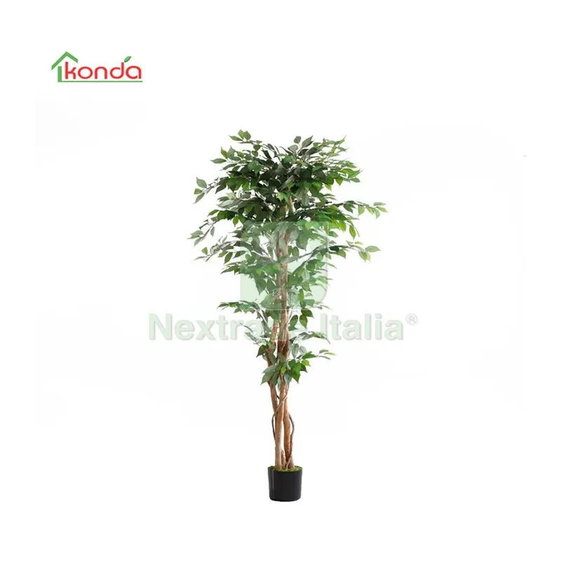 2PZ Pianta Ficus Artificiale 180 CM — Casalinghi e organizzazione — rif. FERX.503308 2PZ Pianta Ficus Artificiale 180 CM — Casalinghi e organizzazione — rif. FERX.503308