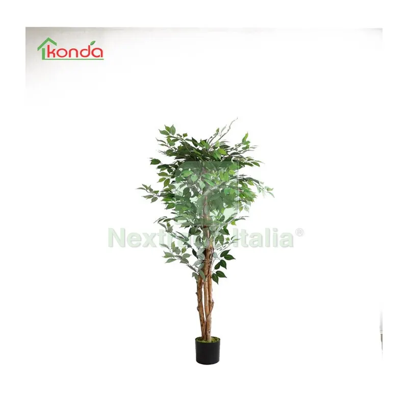 2PZ PIANTA FICUS ARTIFICIALE 150 CM — Casalinghi e organizzazione — rif. FERX.503309 2PZ PIANTA FICUS ARTIFICIALE 150 CM — Casalinghi e organizzazione — rif. FERX.503309
