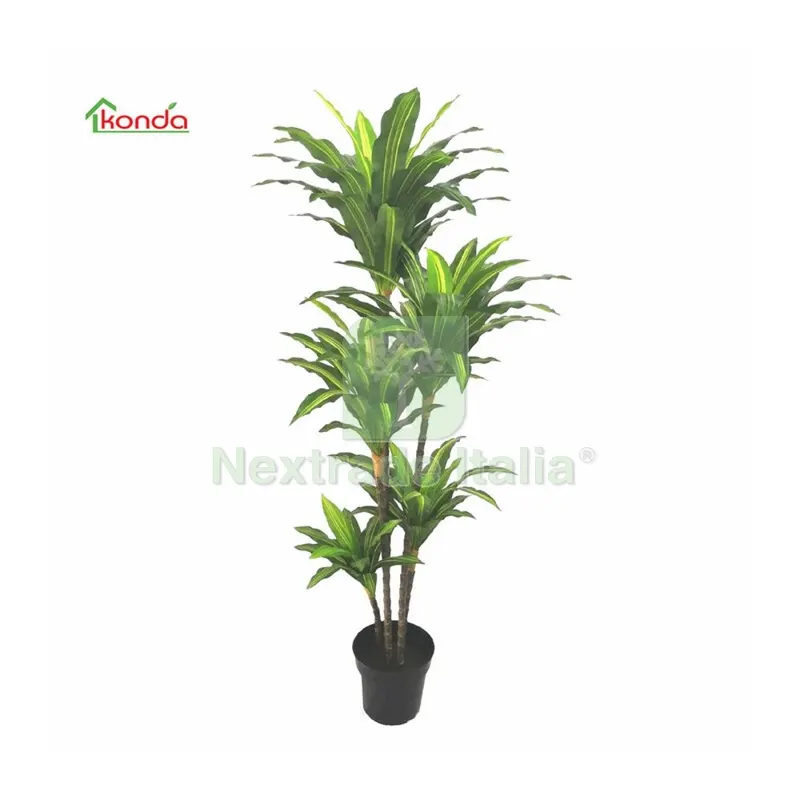 2PZ PIANTA DRACENA ARTIFICIALE 170 CM — Casalinghi e organizzazione — rif. FERX.503317 2PZ PIANTA DRACENA ARTIFICIALE 170 CM — Casalinghi e organizzazione — rif. FERX.503317