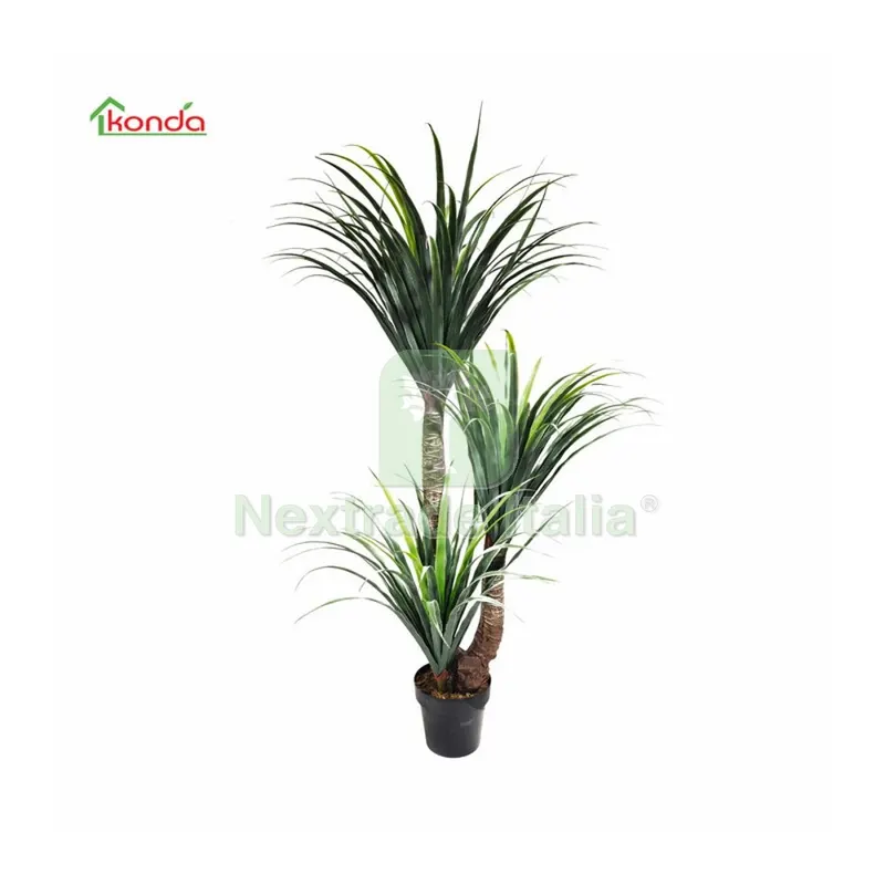 4PZ Pianta Dracena Artificiale 150 CM — Casalinghi e organizzazione — rif. FERX.503318 4PZ Pianta Dracena Artificiale 150 CM — Casalinghi e organizzazione — rif. FERX.503318