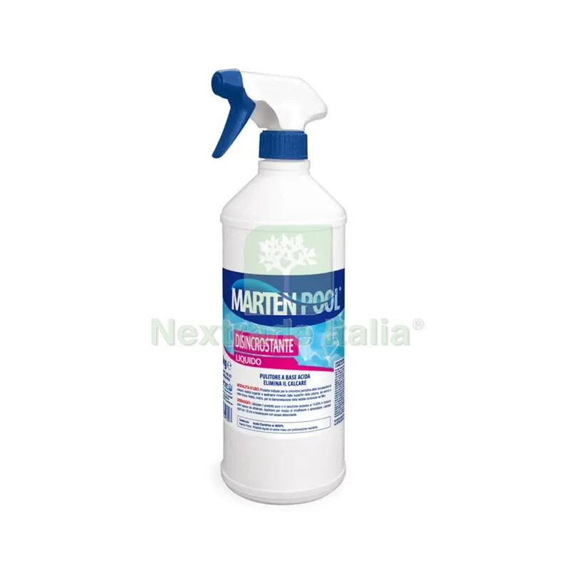 Disincrostante P/Piscine Liquido 1 KG — Detergenti e pulitori casa — rif. FERX.505689