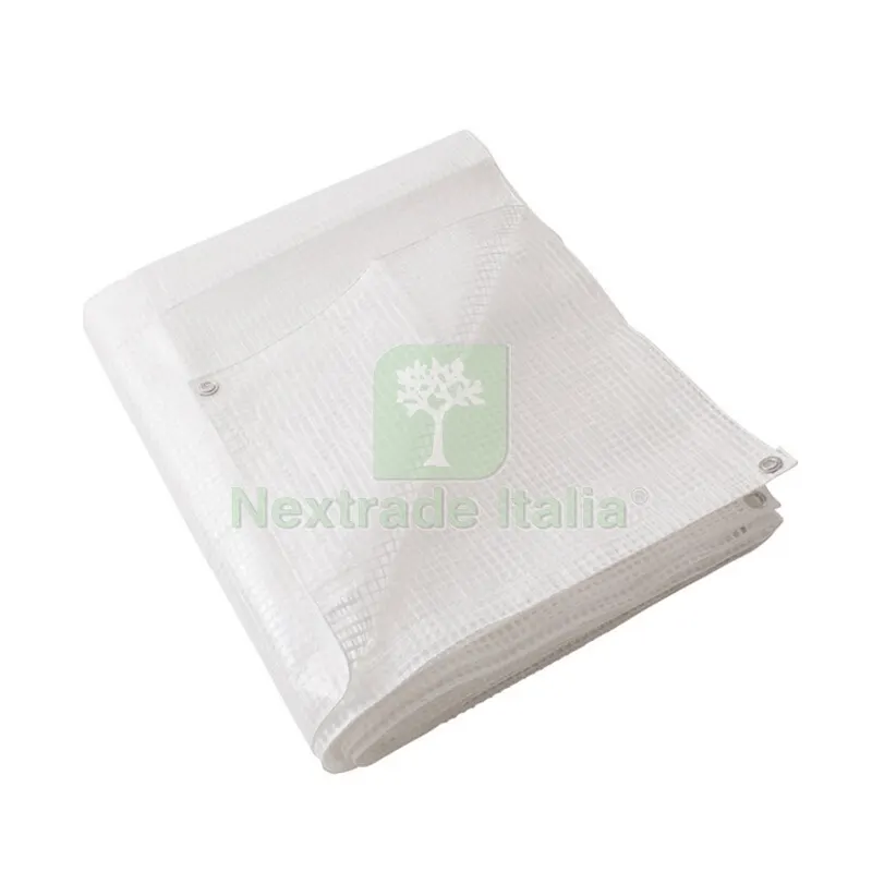 C TELO OCCHIELLATO PE 5 X 8M 160GR BIANCO RETINATO — Teli, sacchi e reti agricole — rif. FERX.506243