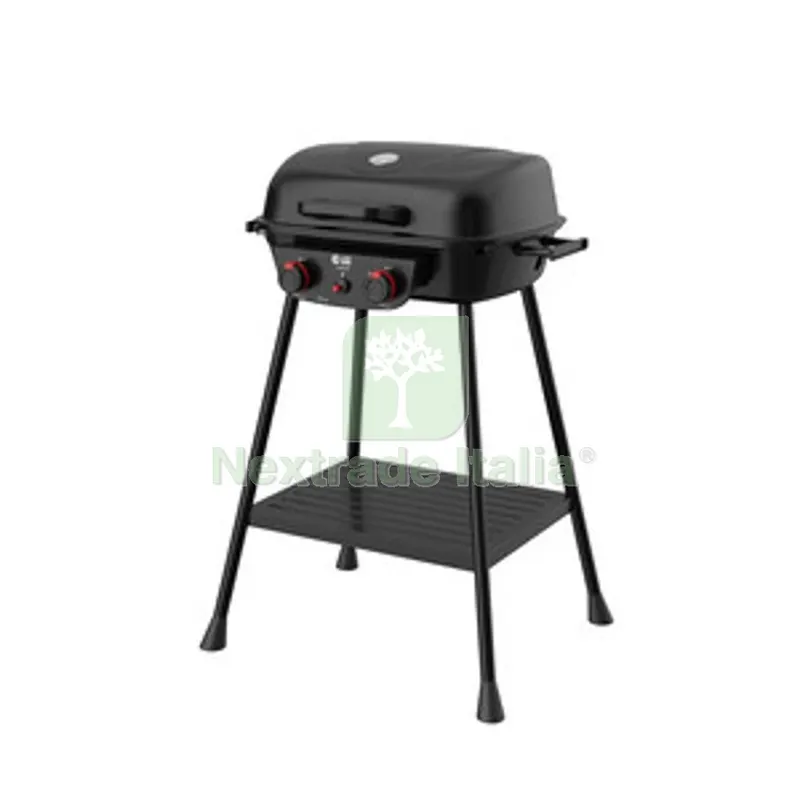 C Barbecue a GAS 2 Fuochi Easy HOT — Tempo libero outdoor — rif. FERX.507255 C Barbecue a GAS 2 Fuochi Easy HOT — Tempo libero outdoor — rif. FERX.507255