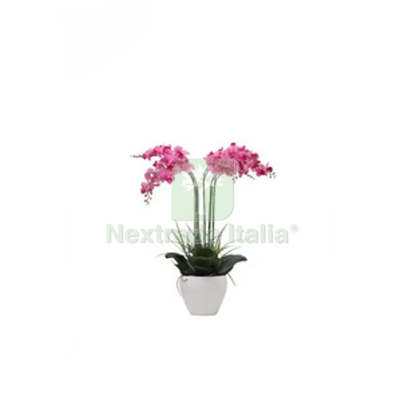 C ORCHIDEA C/VASO BIANCO 60 CM — Vasi e fioriere — rif. FERX.507397 C ORCHIDEA C/VASO BIANCO 60 CM — Vasi e fioriere — rif. FERX.507397