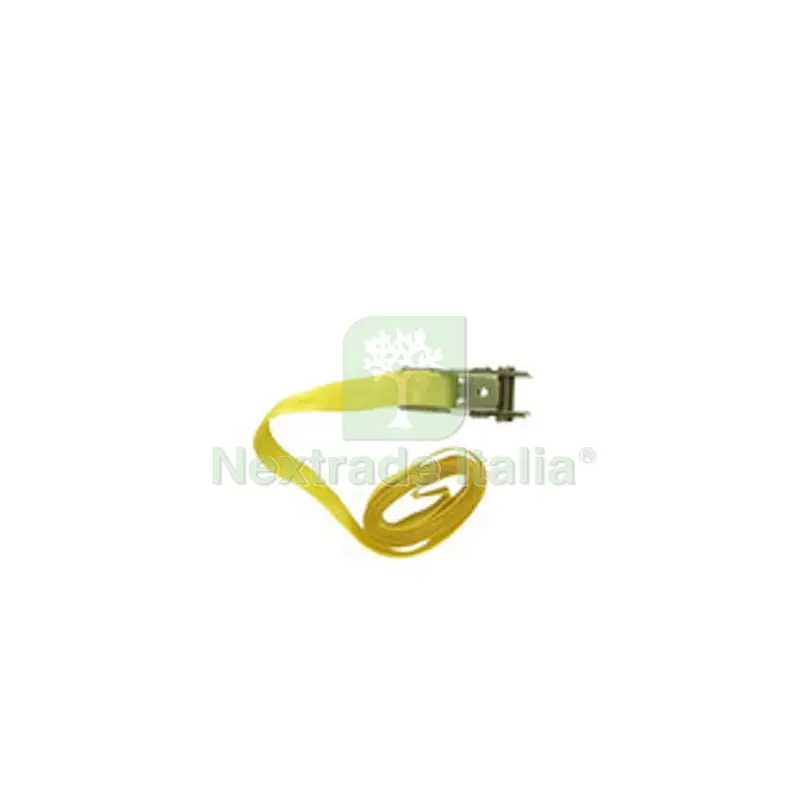C CINGHIA ANCORAGGIO CRICCHETTO 25MM 4MT — Tasselli e ancoraggi — rif. FERX.507450