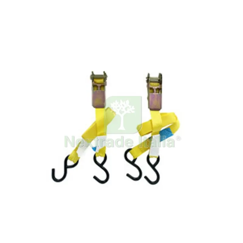 C SET 2/CINGHIE ANCORAGGIO CRICCHETTO 25MM 4,5MT S — Tasselli e ancoraggi — rif. FERX.507456 C SET 2/CINGHIE ANCORAGGIO CRICCHETTO 25MM 4,5MT S — Tasselli e ancoraggi — rif. FERX.507456