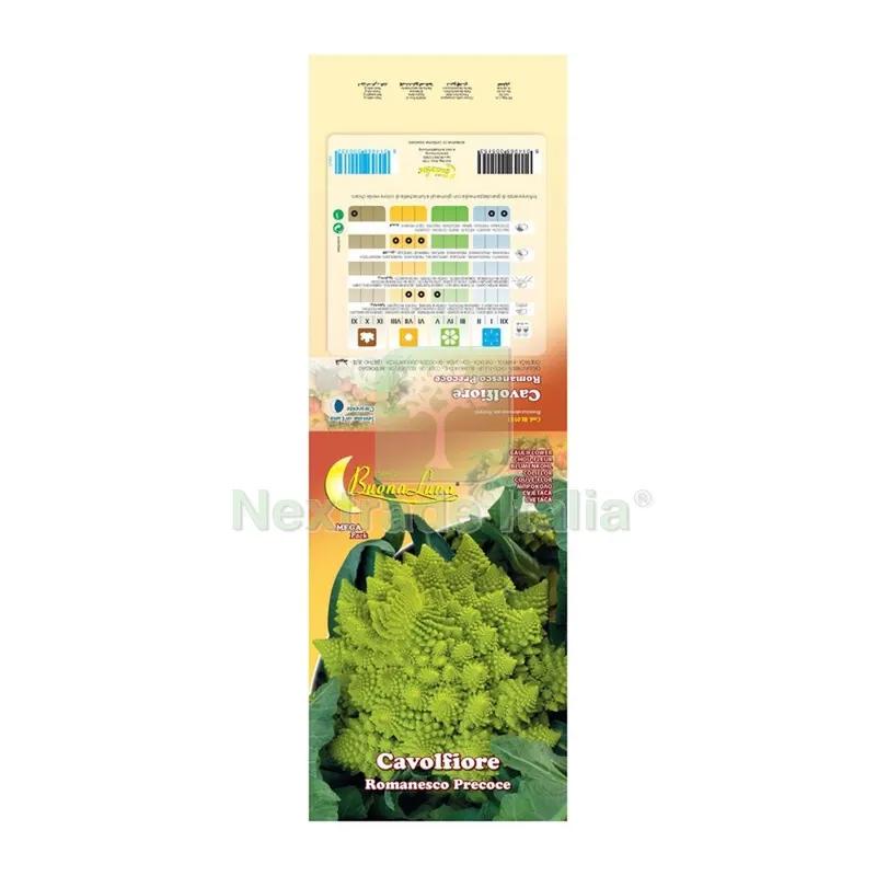 10PZ Semi Orto Cavolfiore Romanesco — Protezione piante e sementi — rif. FERX.508066 10PZ Semi Orto Cavolfiore Romanesco — Protezione piante e sementi — rif. FERX.508066