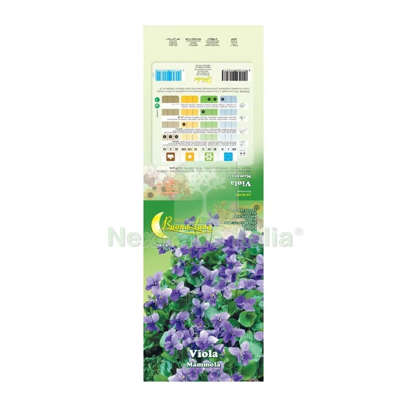 10PZ SEMI GARDEN VIOLA MAMMOLA — Punte, frese e dischi — rif. FERX.508091 10PZ SEMI GARDEN VIOLA MAMMOLA — Punte, frese e dischi — rif. FERX.508091