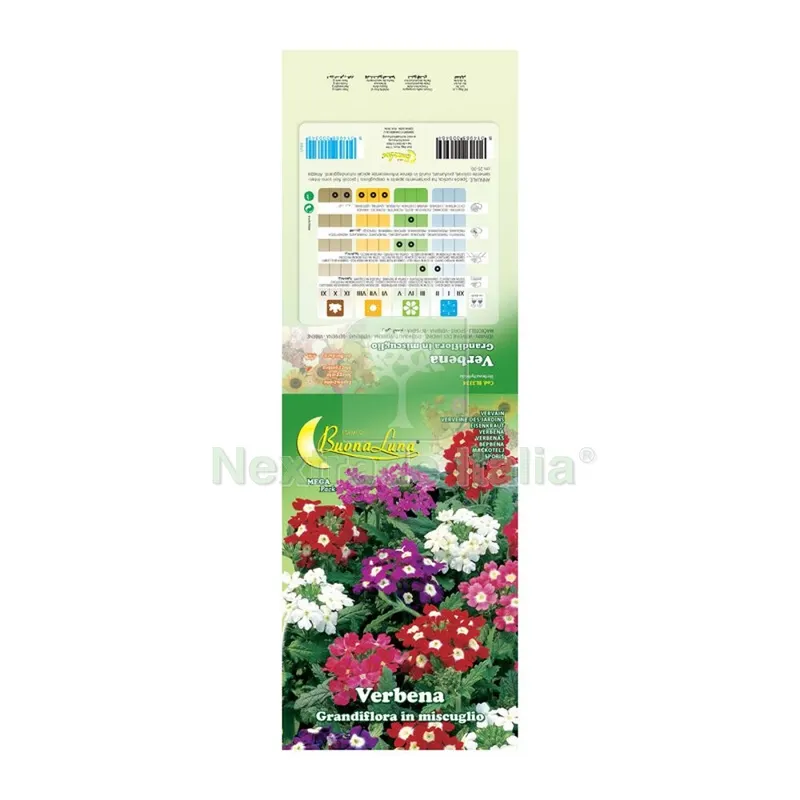 10PZ Semi Garden Verbena Hybrida — Protezione piante e sementi — rif. FERX.508093