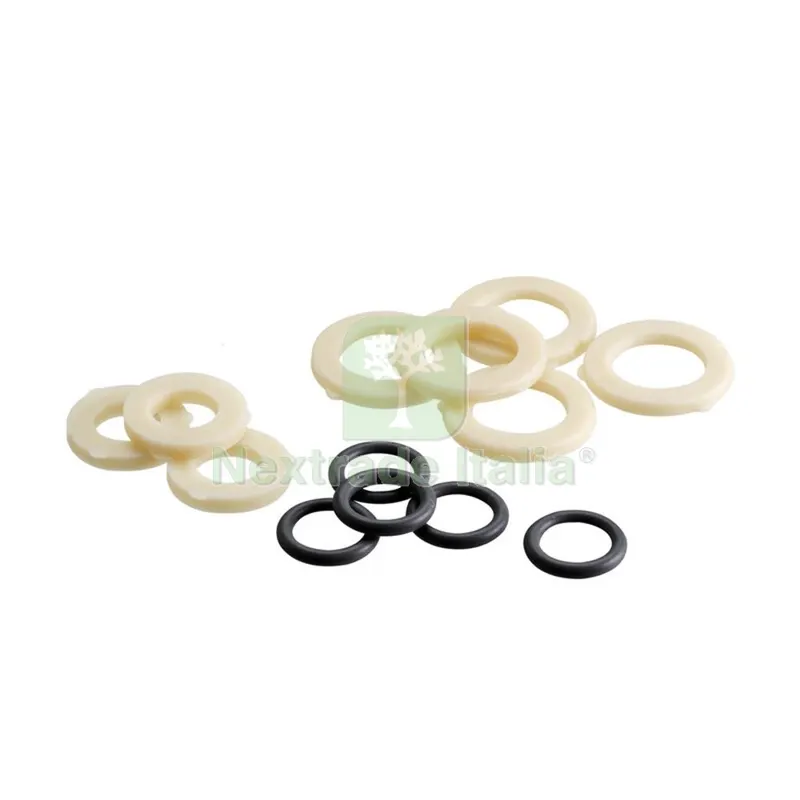 Set O-Ring e Guarnizioni 8811 — Guarnizioni e tenute — rif. FERX.508274 Set O-Ring e Guarnizioni 8811 — Guarnizioni e tenute — rif. FERX.508274