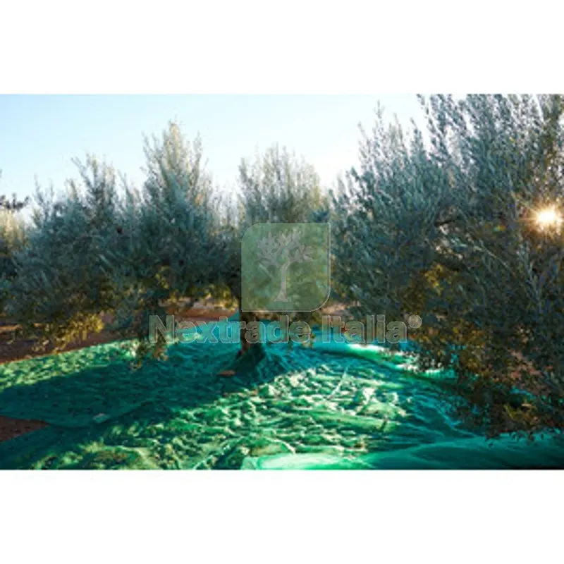 C RETE P/OLIVE ANTISPINA 80G C/SPACCO 8X 8M — Interruttori e prese — rif. FERX.508821