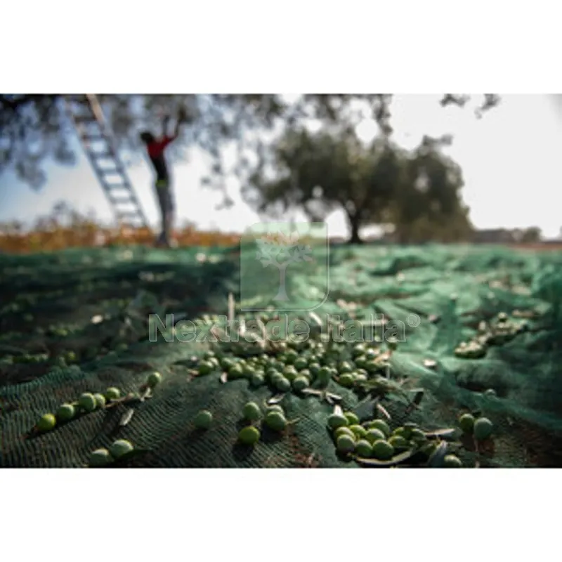 C RETE P/OLIVE ANTISPINA 32G 4 X250M CALABRIA — Interruttori e prese — rif. FERX.508829