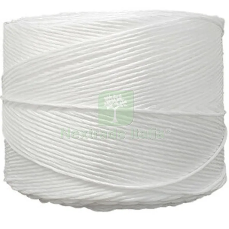 6RT SPAGO IN POLIPROPILENE T 300 BOBINA 2 KG — Pile e batterie — rif. FERX.509801