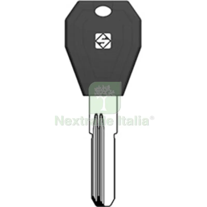 5PZ Silca TLC2RP Chiave Punzonata Ottone — Serrature e cilindri — rif. FERX.509825