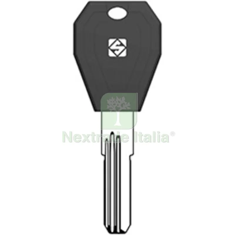 5PZ SILCA TLC4RP CHIAVE PUNZONATA OTTONE — Serrature e cilindri — rif. FERX.509826