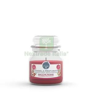 6PZ Candela Officina dei Fiori Bacche Rosse 50 ORE — Materiale promozionale e POP — rif. FERX.512117
