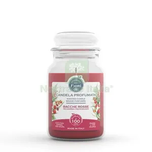 6PZ Candela Officina dei Fiori Bacche Rosse 100 ORE — Materiale promozionale e POP — rif. FERX.512121