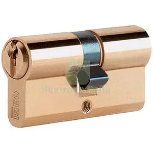 ISEO F5 8209 CILINDRO SAGOMATO 30-60 OTTONATO C/3CH — Serrature e cilindri — rif. FERX.512557 ISEO F5 8209 CILINDRO SAGOMATO 30-60 OTTONATO C/3CH — Serrature e cilindri — rif. FERX.512557