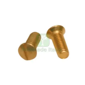 VITI OTTONE P/COPRINTERRUTTORE CF 10 PZ — Interruttori e prese — rif. FERX.512881 VITI OTTONE P/COPRINTERRUTTORE CF 10 PZ — Interruttori e prese — rif. FERX.512881