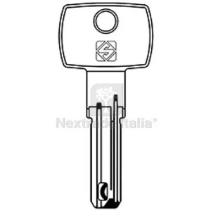 5PZ SILCA DM164 CHIAVE PUNZONATA NICHEL — Serrature e cilindri — rif. FERX.514289 5PZ SILCA DM164 CHIAVE PUNZONATA NICHEL — Serrature e cilindri — rif. FERX.514289