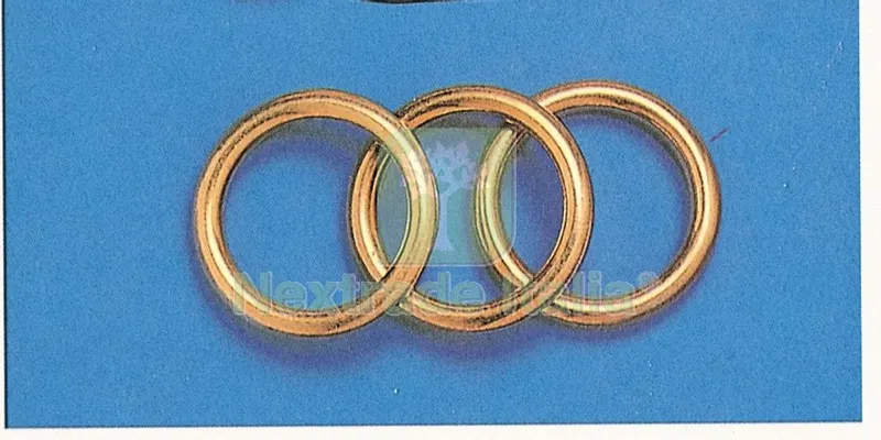 5SCATOLE SC ANELLI TUBOLARI OTTONE 26/36 (PZ.10) — Tubi e raccordi — rif. FERX.52977 5SCATOLE SC ANELLI TUBOLARI OTTONE 26/36 (PZ.10) — Tubi e raccordi — rif. FERX.52977