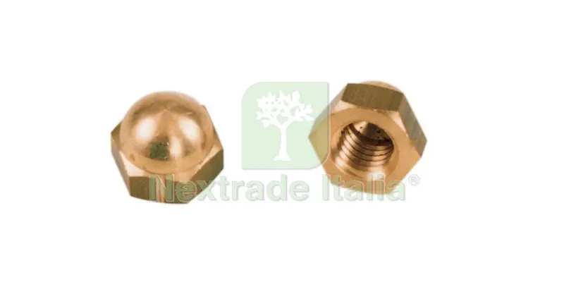 5SCATOLE SC DADI CIECHI OTTONE 6MA (PZ.8) — Bulloni, dadi e rondelle — rif. FERX.54073 5SCATOLE SC DADI CIECHI OTTONE 6MA (PZ.8) — Bulloni, dadi e rondelle — rif. FERX.54073