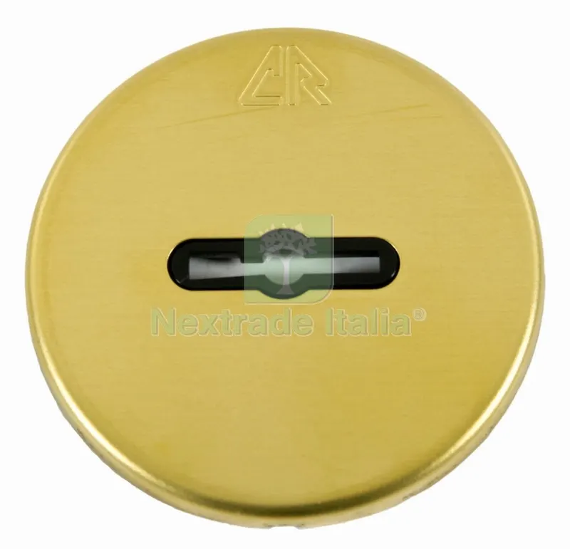2PZ C.R. ART. 30 Bocchette per Serrature con SUPPORTO+VITI con Finitura Dorata — Serrature e cilindri — rif. FERX.5412 2PZ C.R. ART. 30 Bocchette per Serrature con SUPPORTO+VITI con Finitura Dorata — Serrature e cilindri — rif. FERX.5412