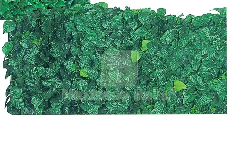 ARELLE SEMPREVERDI LAURO MT. 1,00X20 — Arelle e frangivista — rif. FERX.550