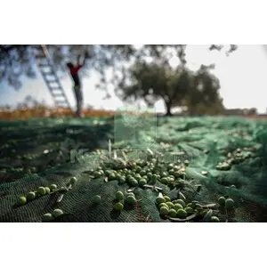 C RETE P/OLIVE ANTISPINA 32G 6 X 6M CALABRIA — Interruttori e prese — rif. FERX.559129 C RETE P/OLIVE ANTISPINA 32G 6 X 6M CALABRIA — Interruttori e prese — rif. FERX.559129