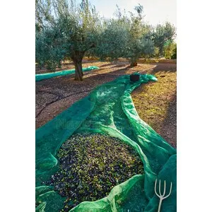 C RETE P/OLIVE ANTISPINA 80G 10X50M — Interruttori e prese — rif. FERX.559132