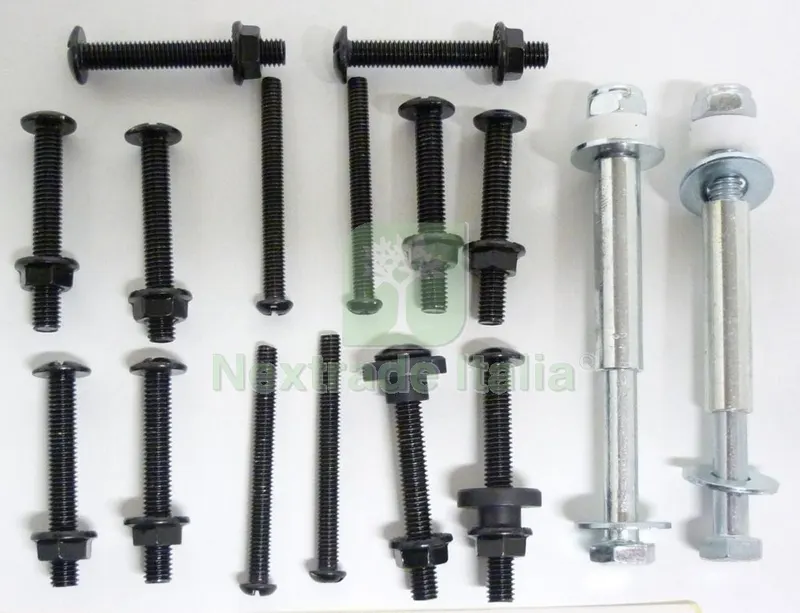 BBQ 8203/8206-SET VITI MONTAGGIO — Viti — rif. FERX.57302 BBQ 8203/8206-SET VITI MONTAGGIO — Viti — rif. FERX.57302